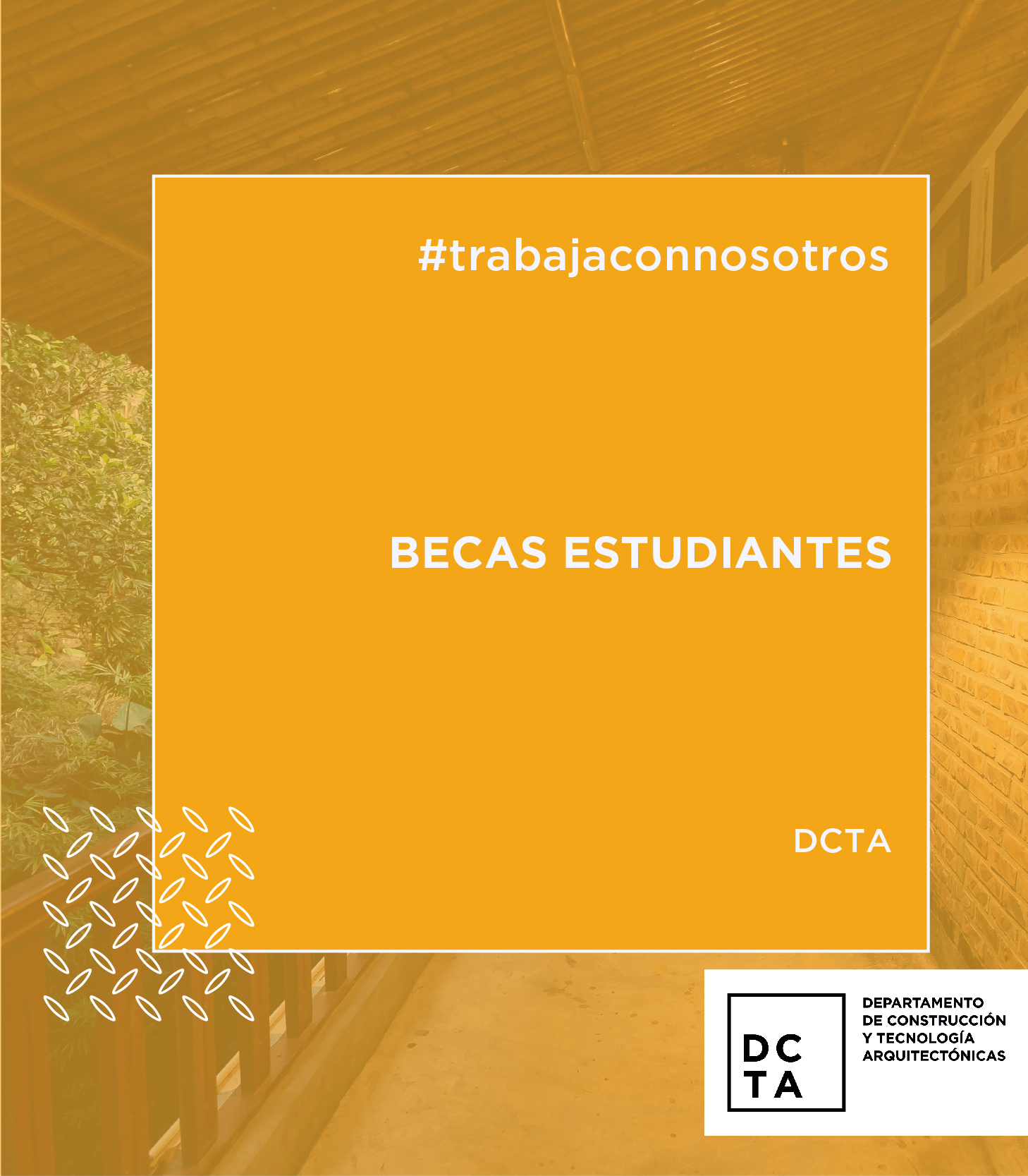 Trabaja con nosotros: Becas DCTA para estudiantes